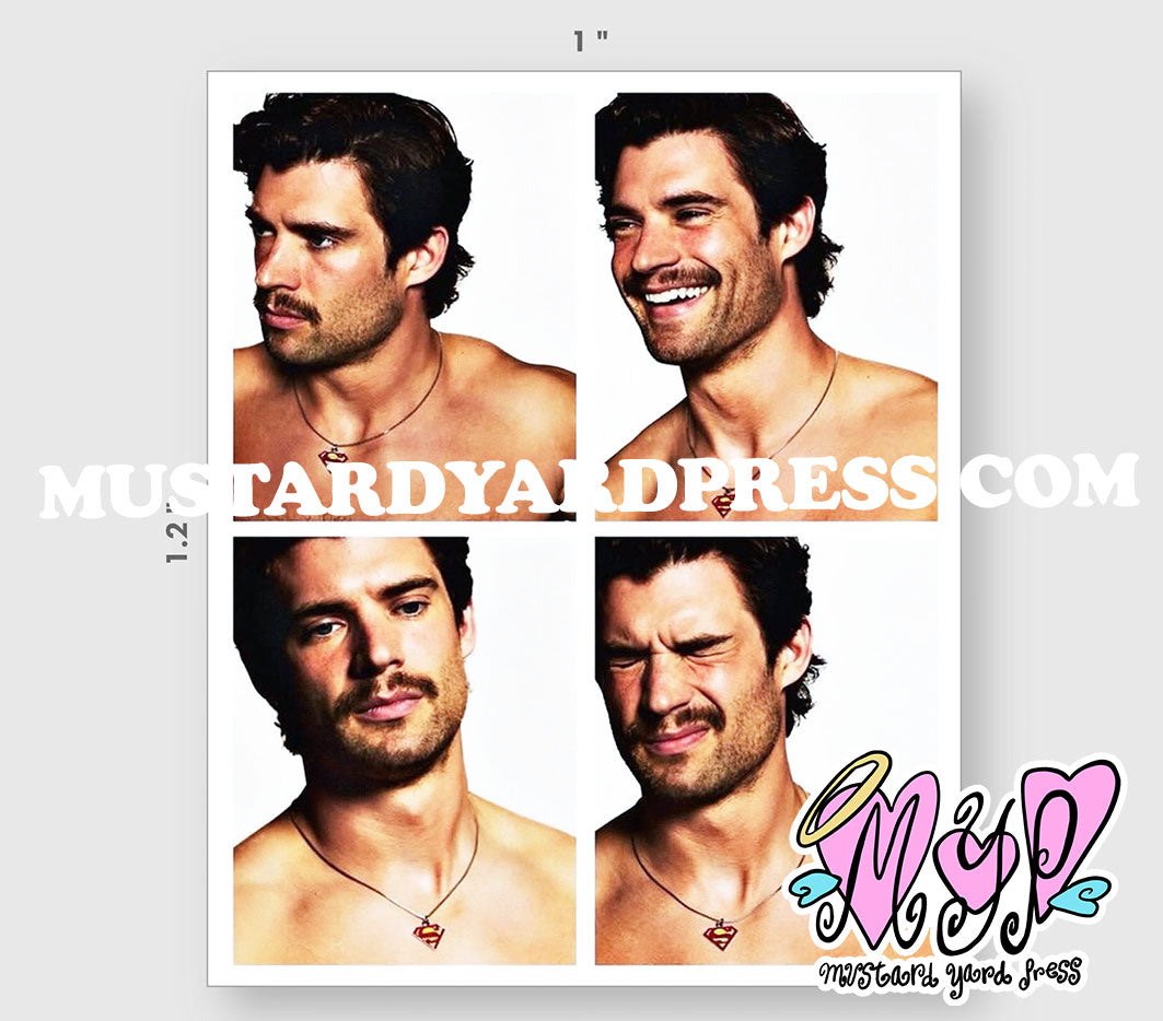 david portraits mini sticker