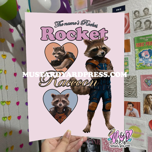 raccoon poster